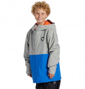 DC Shoes Basis - Technical Snow Jacket 8-16 Wild Dove | 920374VJP