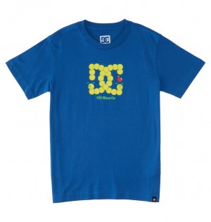 DC Shoes Bookworm - T-Shirt 10-16 μπλε | 564719JDA