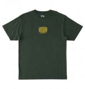 DC Shoes Bulgy - T-Shirt Sycamore | 504623MQV