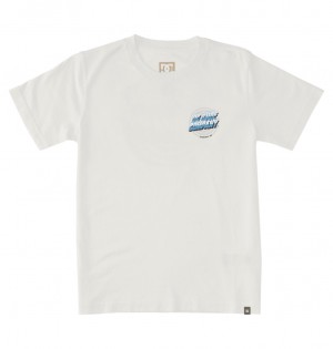 DC Shoes Burner - T-Shirt 10-16 ασπρα ανοιχτο μπλε | 036745UDO