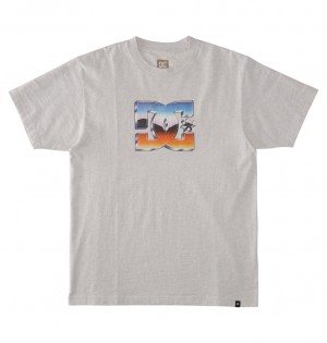 DC Shoes Chrome - T-Shirt Snow Heather | 905832TFQ