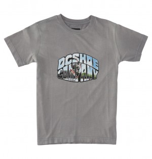 DC Shoes Citywide - T-Shirt 10-16 Pewter Potassium Spray | 635189KUV