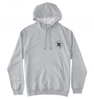 DC Shoes Concrete - Hoodie γκρι | 784306EUA