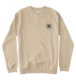 DC Shoes Concrete - Sweatshirt Plaza Taupe | 904618IGO