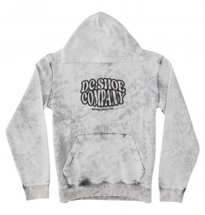 DC Shoes Contour - Hoodie 10-16 ανοιχτο μπλε | 293657GUC