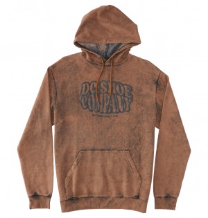 DC Shoes Contour - Hoodie ανοιχτο μπλε | 258637LVY