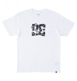 DC Shoes Crushed Glass - T-Shirt ασπρα | 625790CXU
