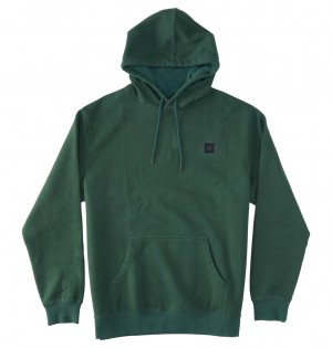 DC Shoes DC 1994 - Hoodie Sycamore Garment Dye | 026381NDH