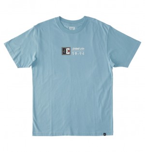 DC Shoes DC Split Star - T-Shirt Forget Me Not / Greystone | 341267TZK