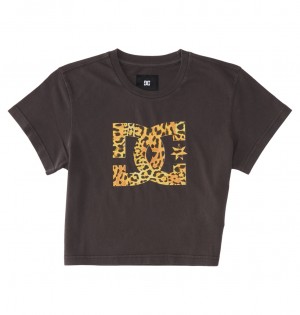 DC Shoes DC Star Fill - Cropped Fitted T-Shirt μαυρα ανοιχτο μπλε | 407128QLB