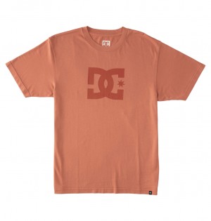 DC Shoes DC Star Pigment Dye - T-Shirt ανοιχτο μπλε | 569028JGK