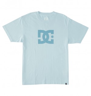 DC Shoes DC Star Pigment Dye - T-Shirt ανοιχτο μπλε | 685210NLB