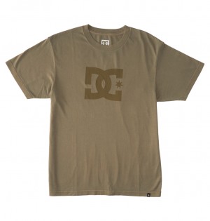 DC Shoes DC Star Pigment Dye - T-Shirt ανοιχτο μπλε | 182073LON