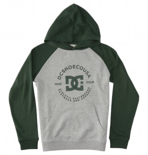 DC Shoes DC Star Pilot - Hoodie 8-16 γκρι | 305971LEP