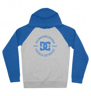 DC Shoes DC Star Pilot - Hoodie 8-16 γκρι μπλε | 175830IMX