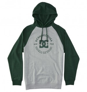 DC Shoes DC Star Pilot - Hoodie γκρι | 947205VRF