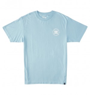 DC Shoes DC Star Pilot - T-Shirt Forget Me Not | 827594CJQ