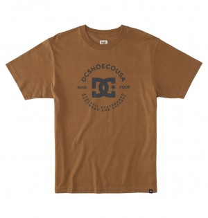 DC Shoes DC Star Pilot - T-Shirt Otter | 569470QUP