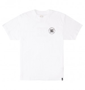 DC Shoes DC Star Pilot - T-Shirt ασπρα | 206473HBI