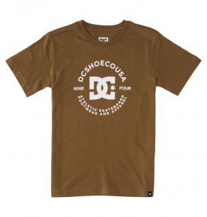 DC Shoes DC Star Pilot - κοντο Sleeve T-Shirt 8-16 Capers | 802749VZM