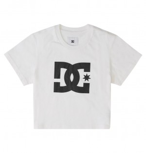 DC Shoes DC Star - Cropped T-Shirt ασπρα | 651023WRL