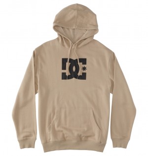 DC Shoes DC Star - Hoodie Plaza Taupe | 418572NYE