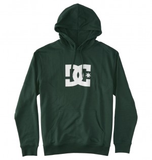 DC Shoes DC Star - Hoodie Sycamore | 619287QSB
