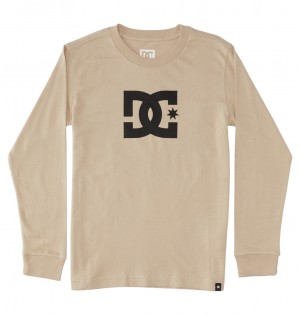 DC Shoes DC Star - Long Sleeve T-Shirt Plaza Taupe | 468972MJT