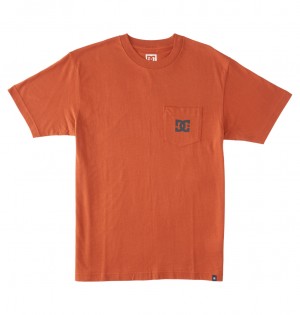 DC Shoes DC Star - T-Shirt Auburn | 806452XHR
