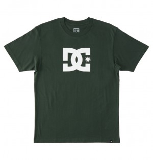 DC Shoes DC Star - T-Shirt Sycamore | 781960OXG