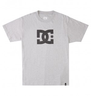 DC Shoes DC Star - T-Shirt γκρι | 541092RCB