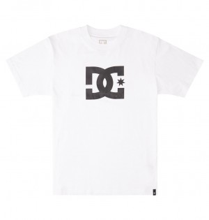 DC Shoes DC Star - T-Shirt ασπρα | 736095HCT