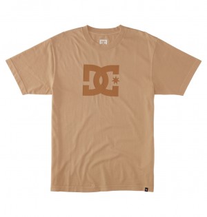 DC Shoes DC Star - T-Shirt ανοιχτο μπλε | 402179ZES