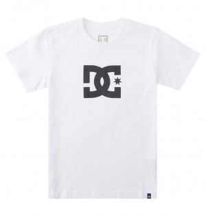 DC Shoes DC Star - κοντο Sleeve T-Shirt 8-16 ασπρα | 869503WTP