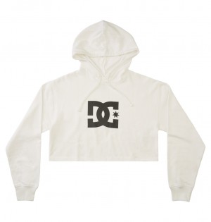 DC Shoes DC - Hoodie ασπρα | 673928WJZ