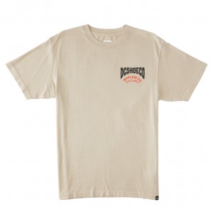 DC Shoes Defiant - T-Shirt ανοιχτο μπλε | 567193LOB