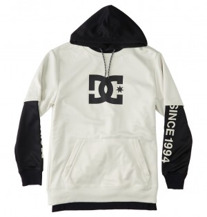 DC Shoes Dryden - Technical Hoodie ασημι | 745369LBF