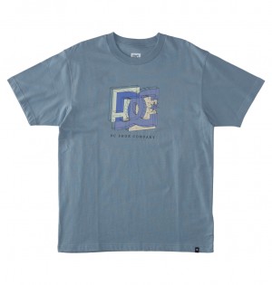DC Shoes Fine Art - T-Shirt μπλε | 140689CWG