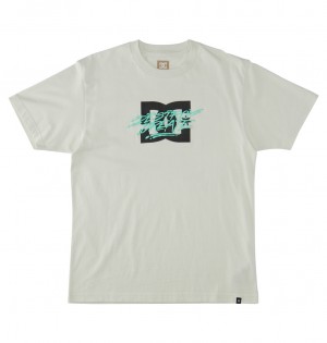 DC Shoes Flyer - T-Shirt ασπρα | 342859SJQ