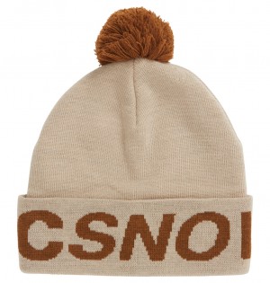DC Shoes Gambol - Beanie Plaza Taupe | 904325GTW