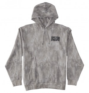 DC Shoes Hangar Ph - Hoodie γκρι | 457801KNB