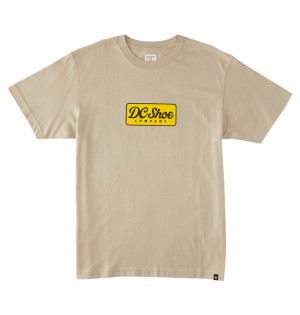 DC Shoes Happy Hour - T-Shirt Plaza Taupe | 960371ZDW