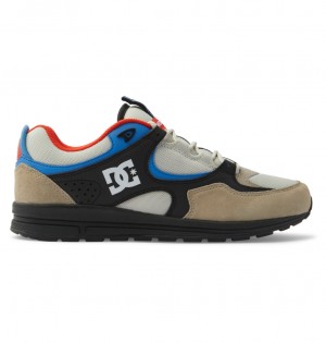 DC Shoes Kalis Lite - δερματινα Shoes μπλε ασπρα | 407253CHV