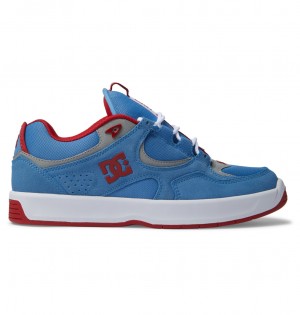 DC Shoes Kalynx Zero S - δερματινα Skate Shoes μπλε | 769548NRA