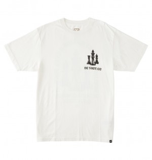 DC Shoes Kings Game - T-Shirt ασπρα ανοιχτο μπλε | 201386TPY