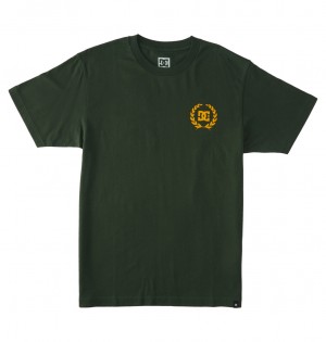 DC Shoes Lifes Changing - T-Shirt Sycamore | 041673TBR