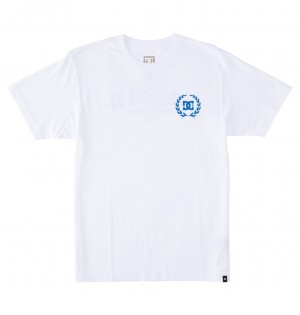 DC Shoes Lifes Changing - T-Shirt ασπρα | 754298SMA