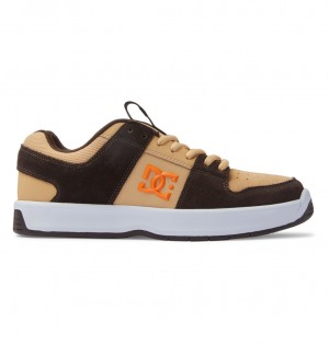 DC Shoes Lynx Zero S - Skate Shoes καφε καφε πορτοκαλι | 296145OYE