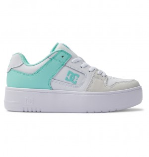 DC Shoes Manteca 4 flatforms - Flatform Shoes μεντα | 705842DRI