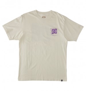 DC Shoes Mid Century - T-Shirt ασπρα ανοιχτο μπλε | 528419EGL